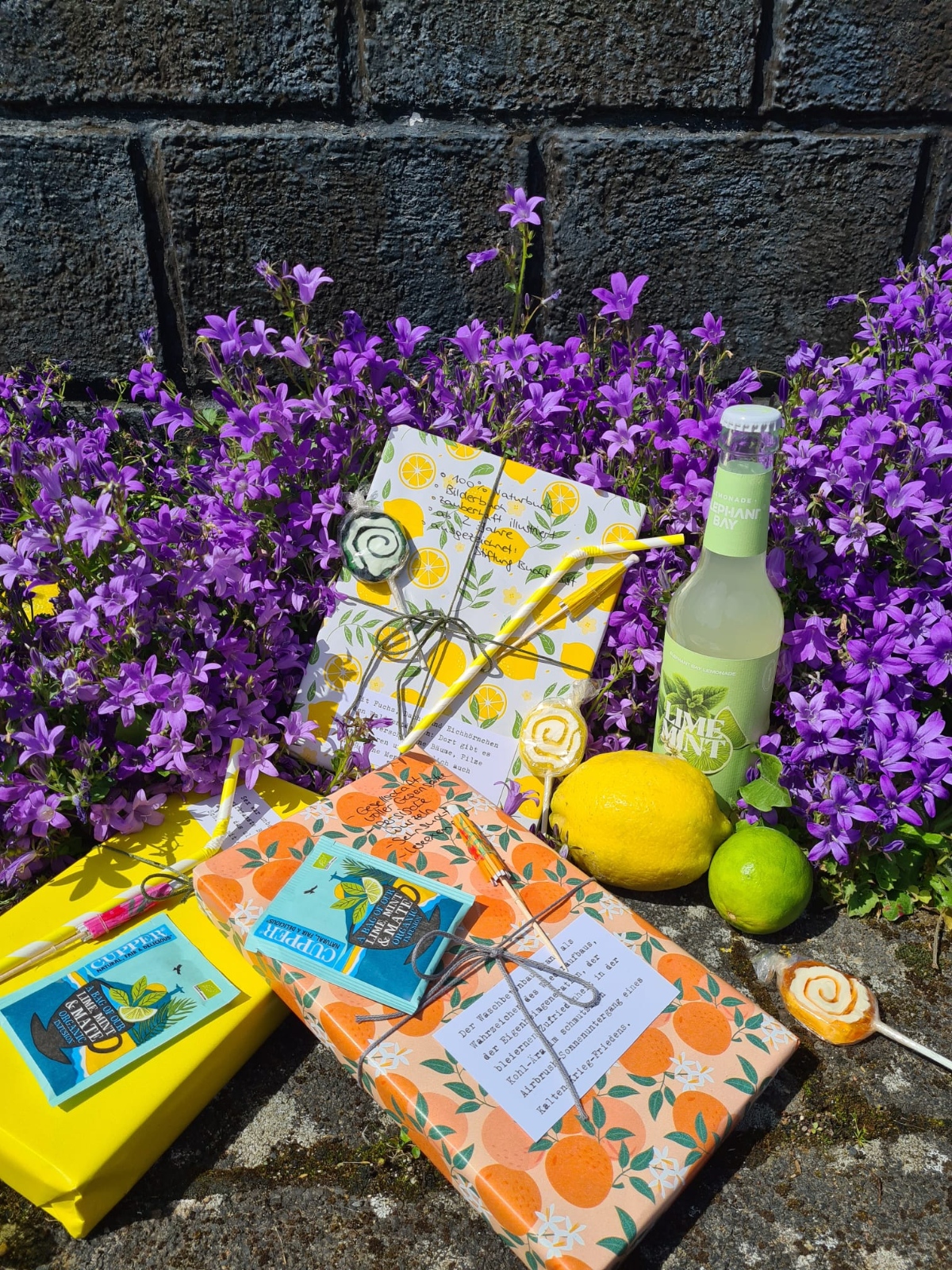 Blind Date mit einem Buch - Sommeredition